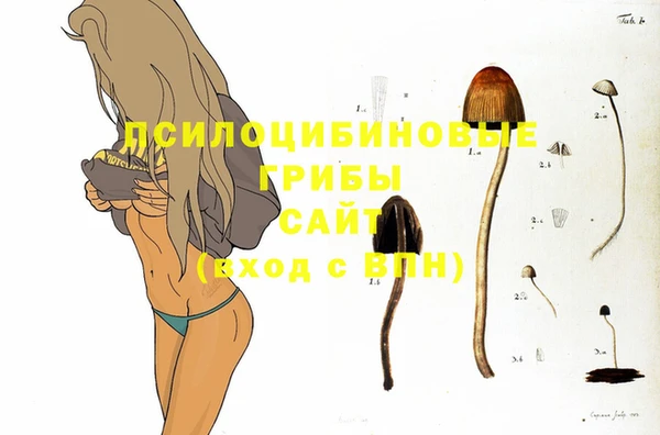 синтетический гашиш Арсеньев